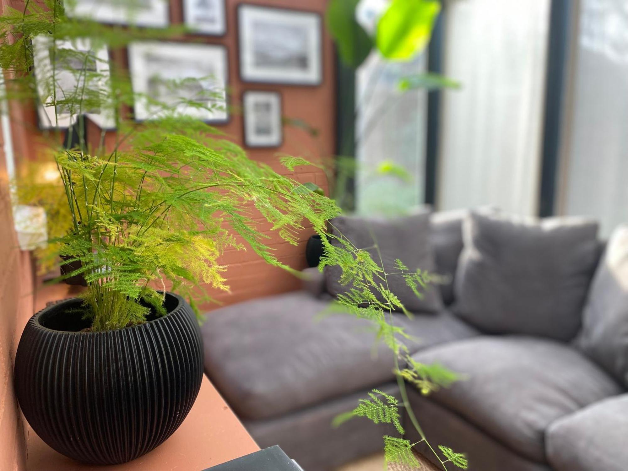 Beautifully Appointed One-Bedroom Cottage Shepreth 外观 照片
